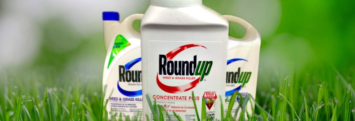 RoundUp commonly used in the garden but key ingredient may cause cancer